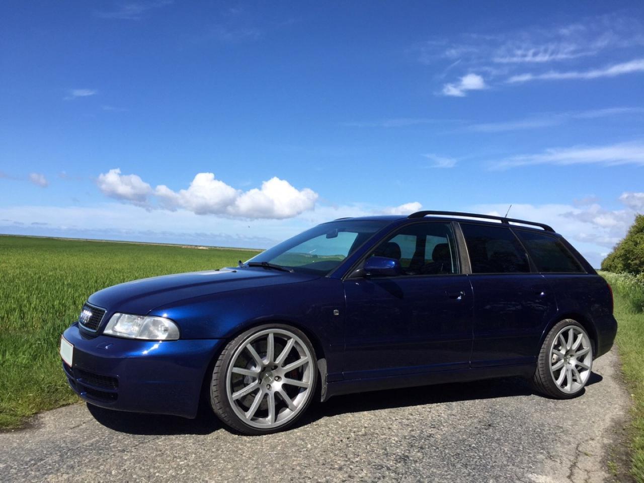 IMG_7851 (Large).JPG