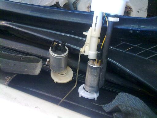 efterår 2009 006.JPG