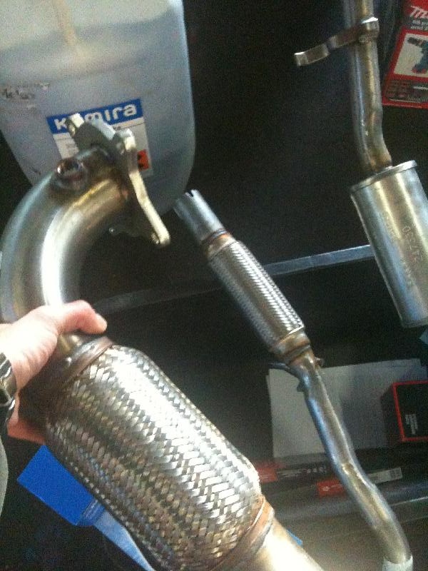 IMG_0336 (Medium).JPG