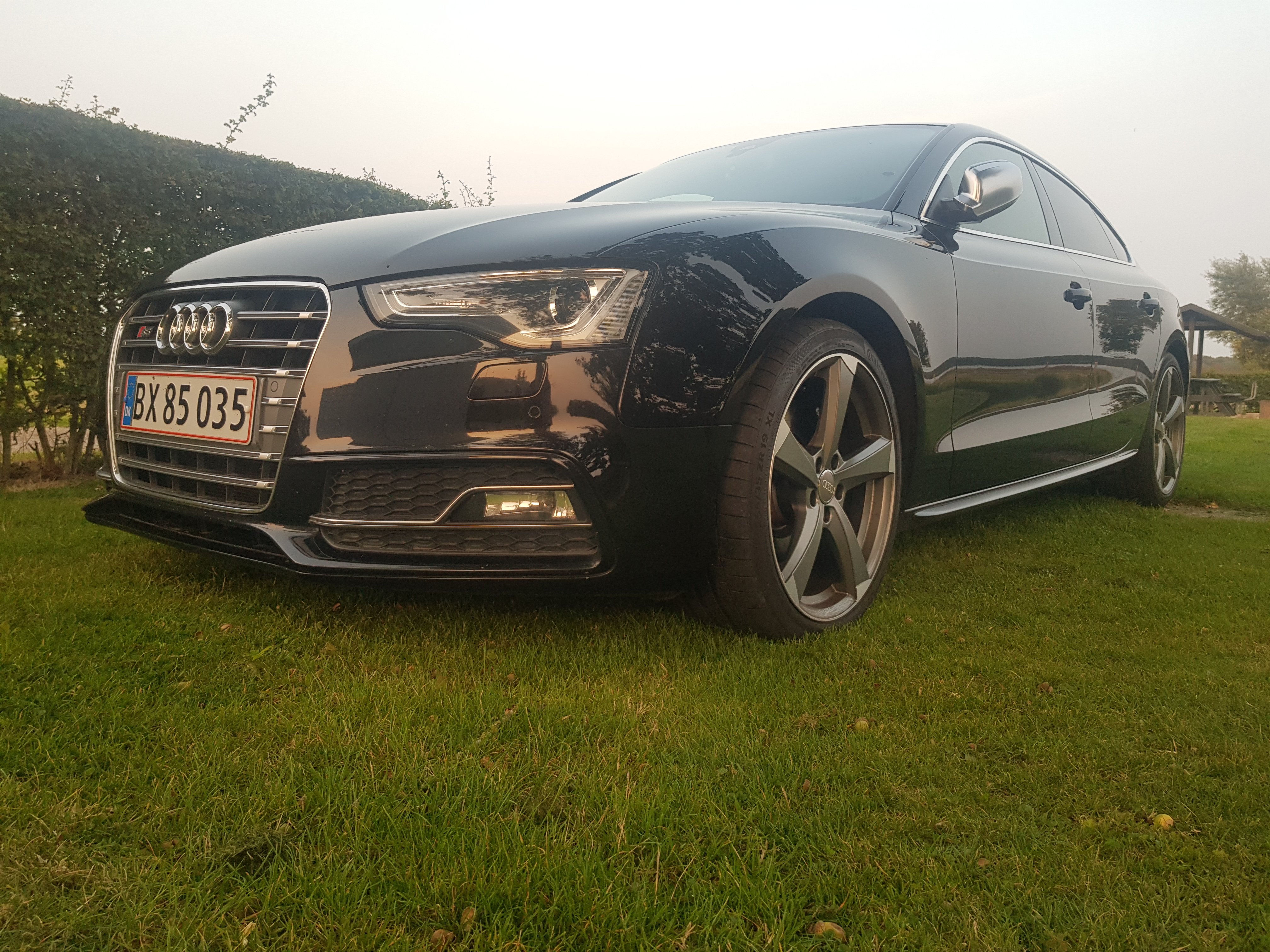 20200911_192411 (1).jpg