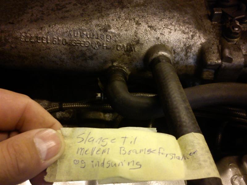 mine billeder 238 (Medium).jpg