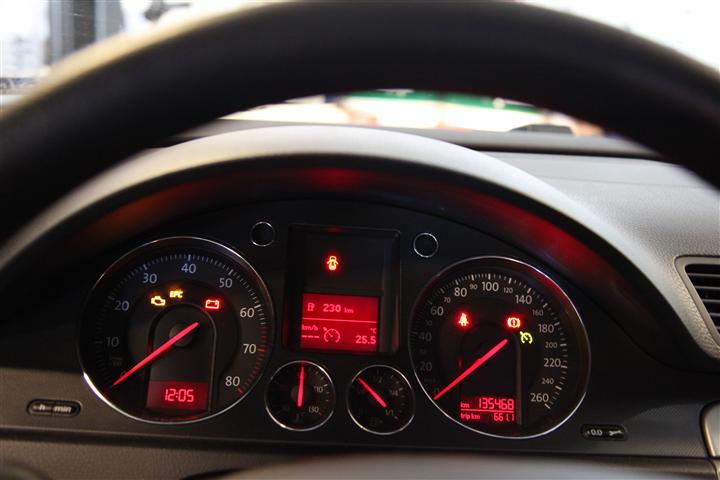 IMG_7628 (Small).JPG