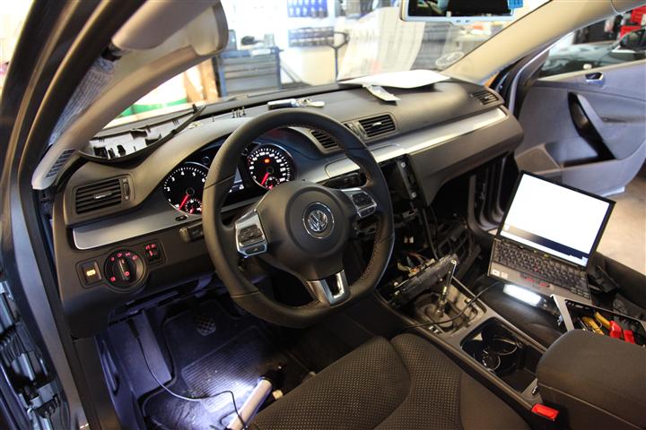 IMG_7645 (Small).JPG