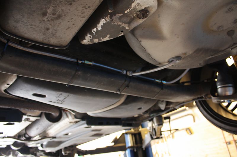 IMG_2864 [800x600].JPG