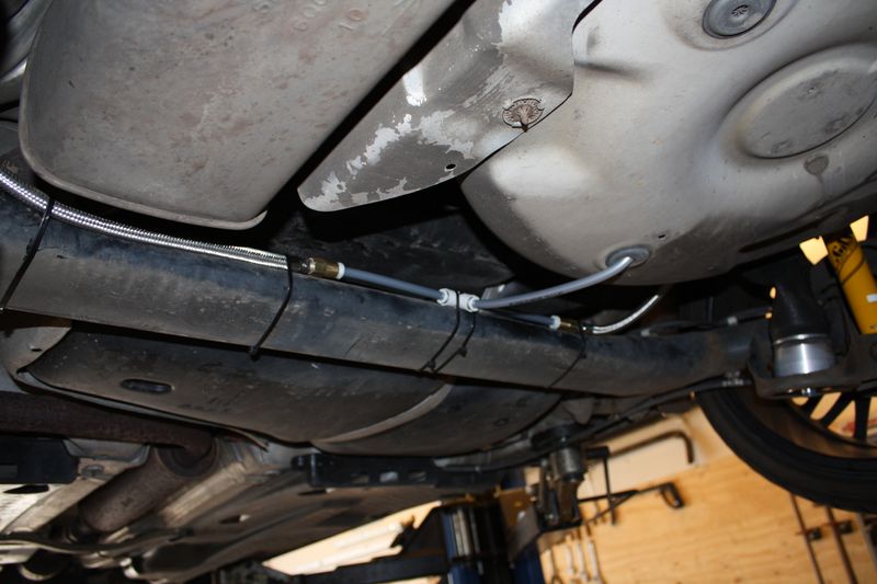 IMG_2865 [800x600].JPG