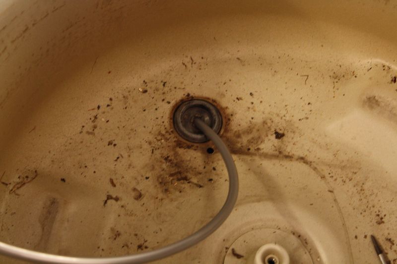 IMG_2867 [800x600].JPG