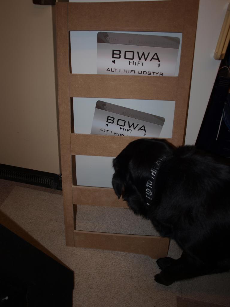 2 - Medhjælper kontrollerer.JPG