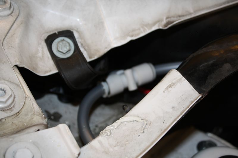 IMG_2870 [800x600].JPG