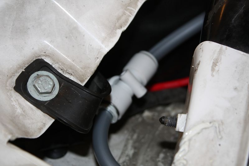 IMG_2871 [800x600].JPG