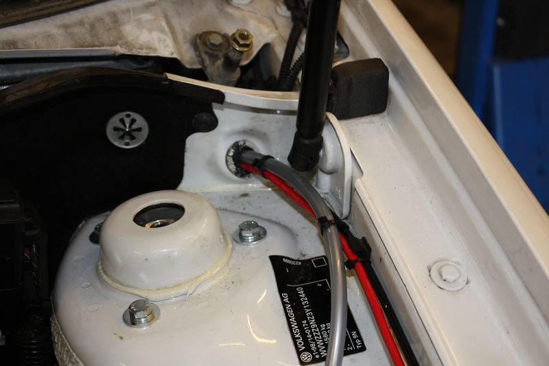 IMG_2872 [800x600].JPG