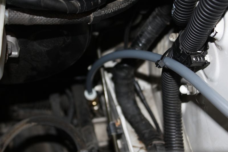 IMG_2873 [800x600].JPG