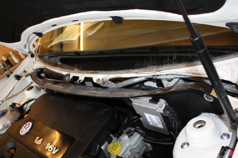 IMG_2874 [800x600].JPG