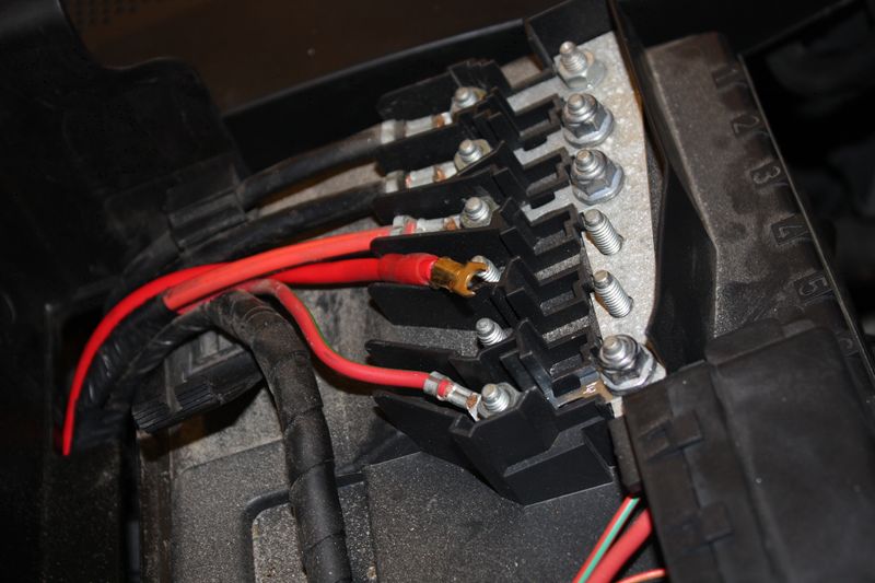 IMG_2875 [800x600].JPG