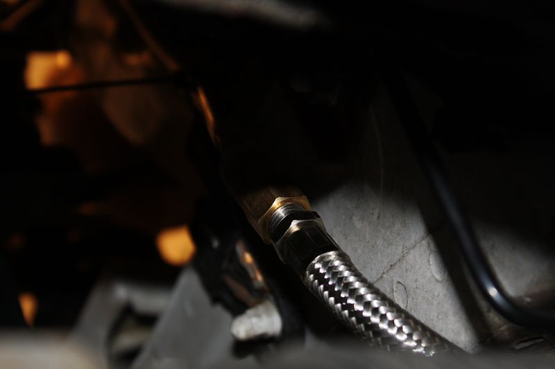 IMG_2877 [800x600].JPG