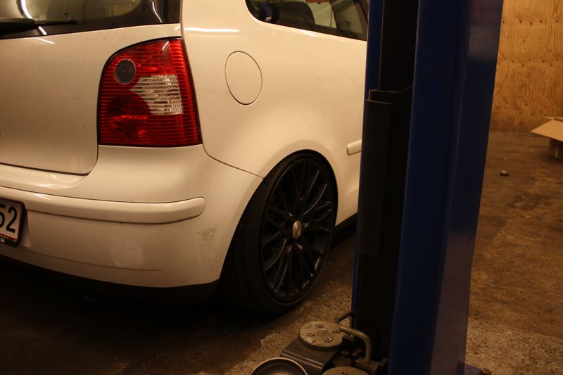 IMG_2891 [800x600].JPG