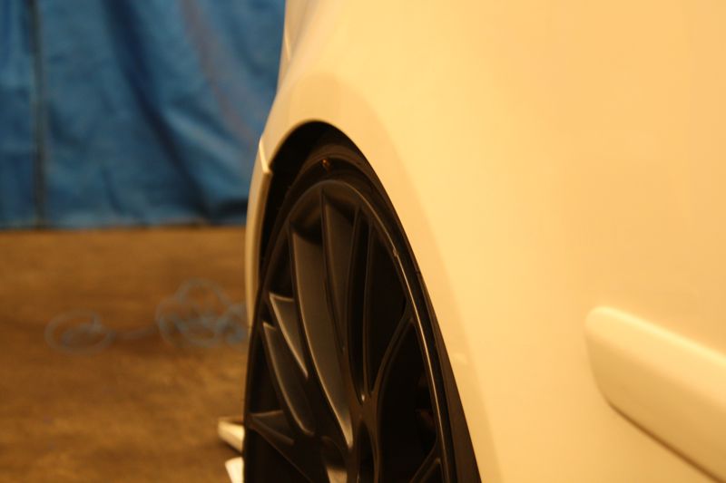 IMG_2893 [800x600].JPG