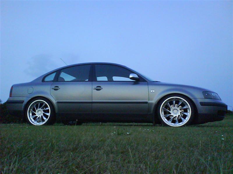 DSC00195 (Medium).JPG