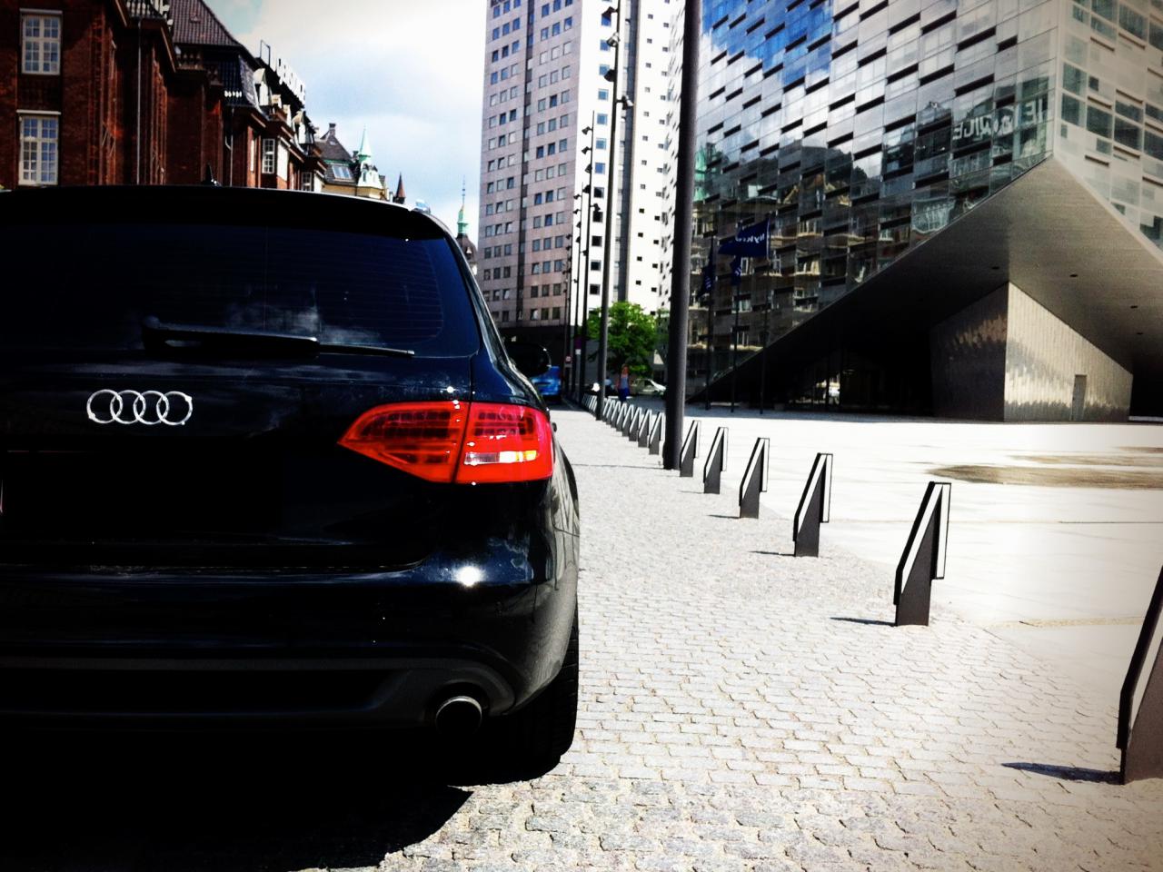 from behind edited.jpeg