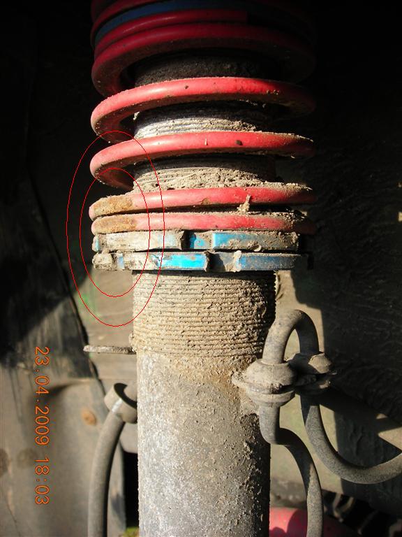 DSCN1163 (Large).JPG