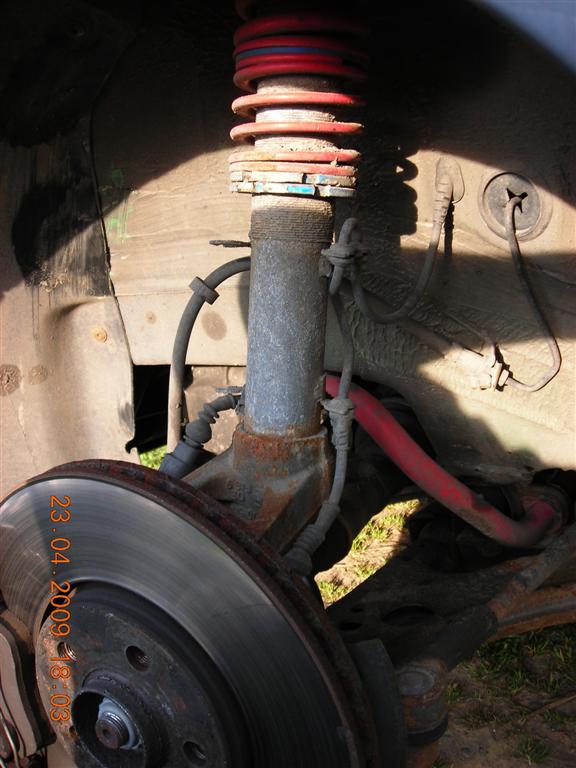 DSCN1164 (Large).JPG