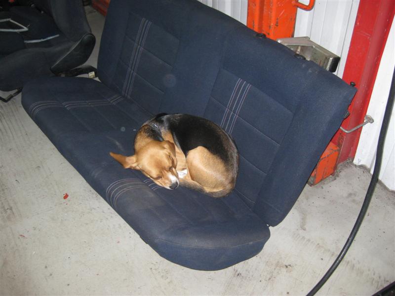 25år 079 (Medium).jpg