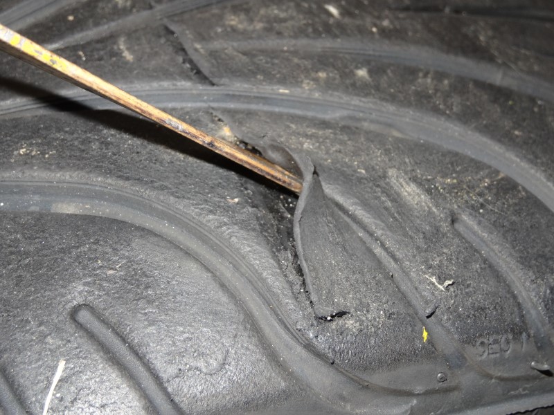 DSC00360 (Custom).JPG