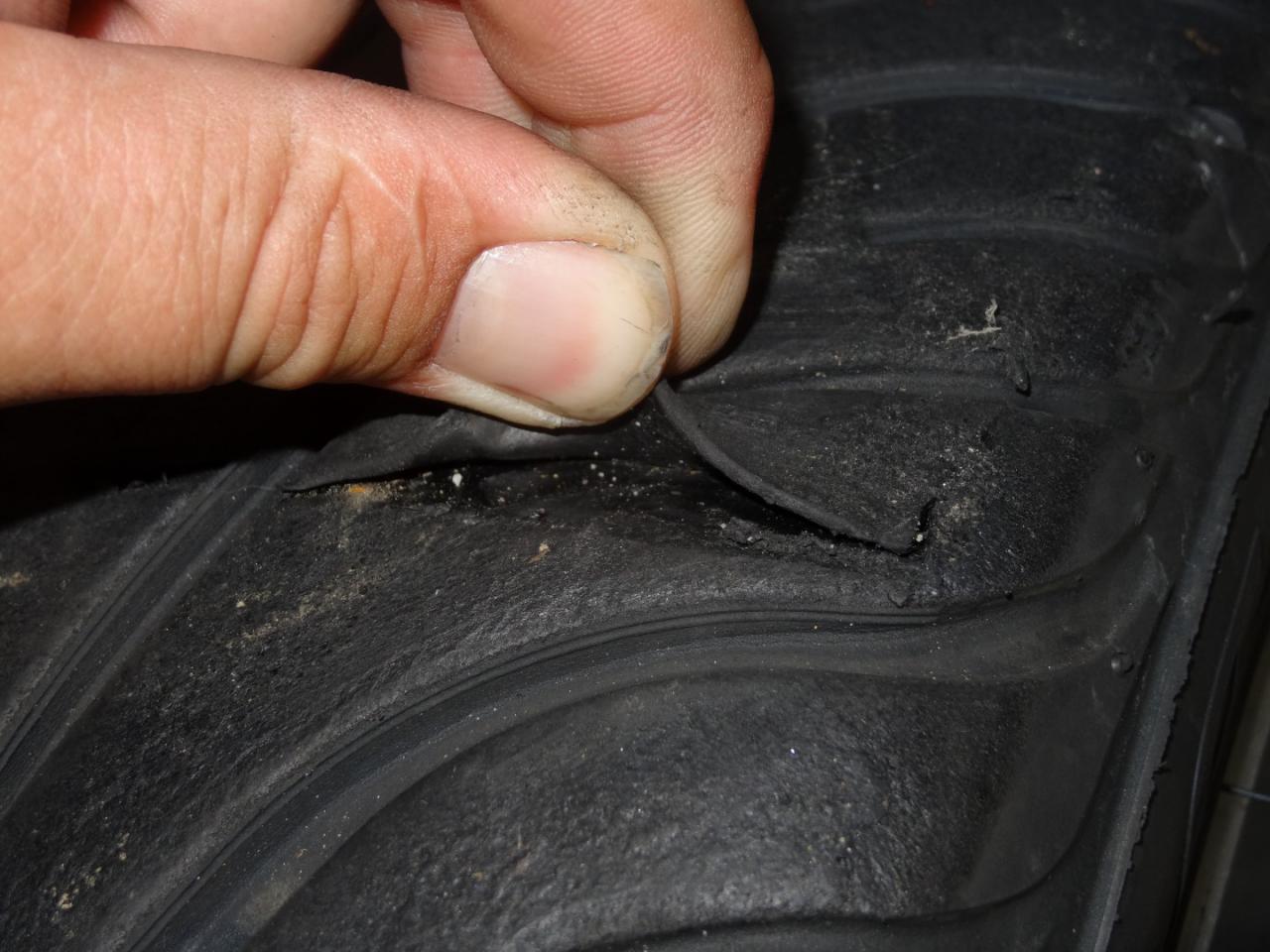 DSC00356 (Large).JPG