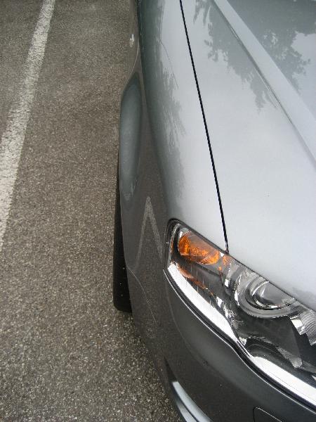 IMG_0002 (Medium).JPG